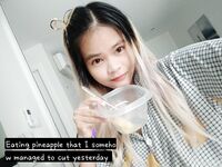 Tokixpoki