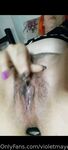 Violetvip