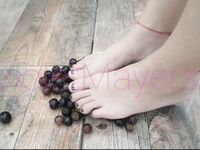 Violetvip
