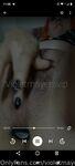 Violetvip