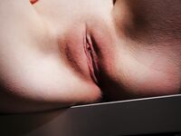 Emily Bloom Yardarsa
