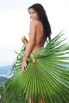 Gracy Taylor Akeira