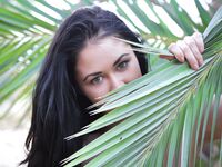 Macy B Dehada