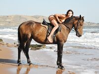 Suzanna A Atti