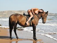 Suzanna A Atti