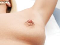 perky mini Photos