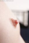 perky mini Photos