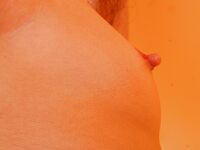 perky mini Photos