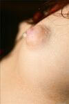 perky mini Photos