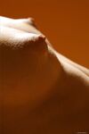 perky mini Photos