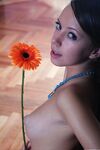 perky mini Photos