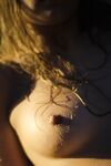 perky mini Photos