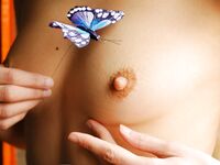 perky mini Photos