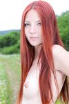 perky mini Photos