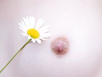 perky mini Photos