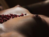 perky mini Photos
