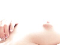 perky mini Photos