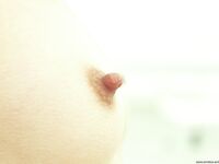 perky mini Photos