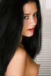 perky mini Photos