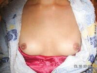 perky mini Photos