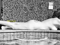 aussiecple amateur Photos